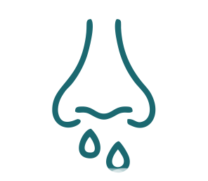 Nasal block / bleeds